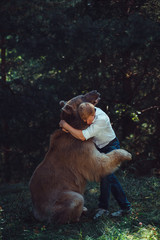 Red-haired man in a white shirt and a brown bear are hugging in the summer forest. The theme of...