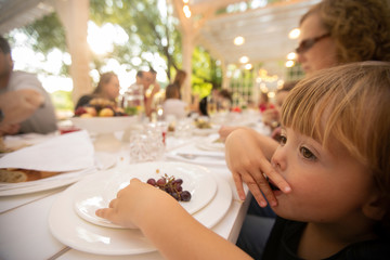 Obraz na płótnie Canvas Charming child chewing grapes from big round plate pitting to mouth and looking along at served long table big family feast