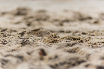 sand background close-up