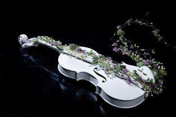 Violin And Flowers © Fotoskat