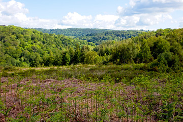 Fototapeta na wymiar East Dartmoor National Nature Reserve from the Lower Trendlebere Car Park, Devon, England, UK.