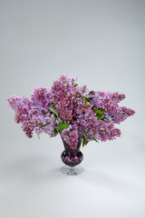 Still Life With Flowers