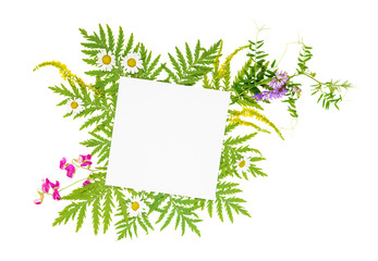 Summer frame with different herbs and flowers