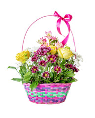 Fototapeta na wymiar Various flowers in basket