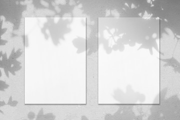 Two empty white vertical rectangle poster mockups with leaves shadows