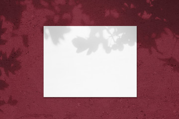 Empty white horizontal rectangle poster mockup with soft shadow on dark red colored concrete wall background. Flat lay, top view