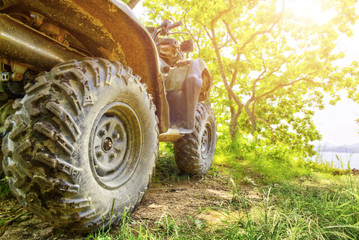 Back view of quad bike deep in the forest road. - obrazy, fototapety, plakaty