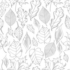 seamless pattern autumn leaves set in a sketch style.