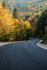 Fototapeta premium autumn leaves