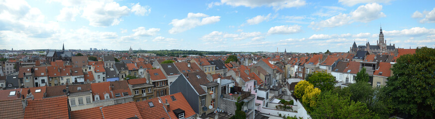 Fototapeta na wymiar Vue panoramique sur les toits de Bruxelles