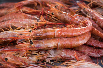 Fresh fish at traditional fish market