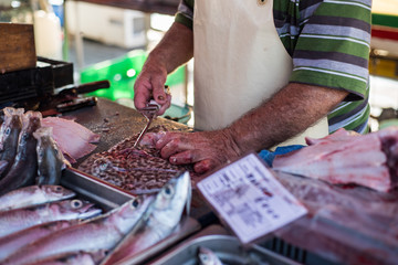Fresh fish at traditional fish market