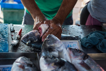 Fresh fish at traditional fish market