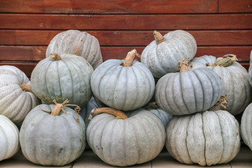 pumpkins and gourds