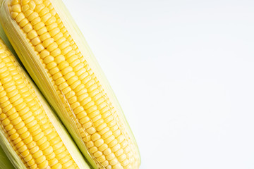 fresh sweet corns on white background