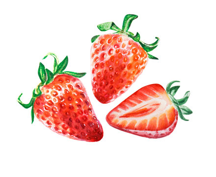 Watercolor red juicy strawberry with leaves. Food background, painted bright composition. Hand drawn food illustration. Fruit print. Summer sweet fruits and berries.