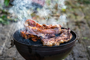 Meat on a barbecue grill with smoke. Close up