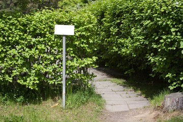 pathway through hedge with blank sign