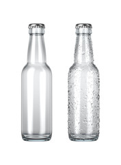 Empty Clear Beer Bottle