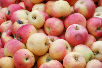 red apples and fruit