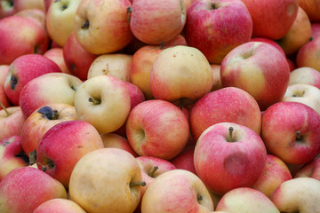 red apples and fruit