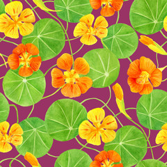 Red, orange, yellow nasturtium flowers and leaves seamless pattern. Hand drawn botanical watercolor illustration with garden flowers. Floral decoration for invitation, greeting cards, textile, print.