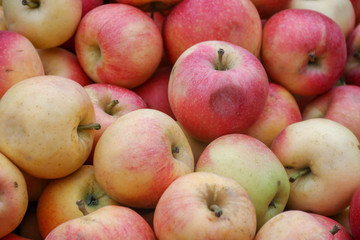 red apples and fruit
