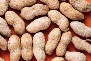 dried fruit still life