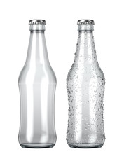Empty Clear Beer Bottle
