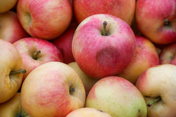 red apples and fruit