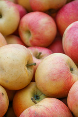 red apples and fruit
