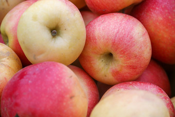 red apples and fruit