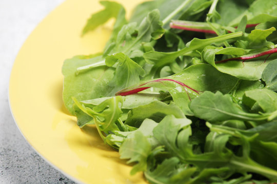 A plate with green salad