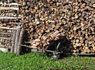 Wheelbarrow full of chopped wood logs near a large pile of firewood