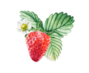 Watercolor red juicy strawberry with leaves. Food background, painted bright composition. Hand drawn food illustration. Fruit print. Summer sweet fruits and berries.
