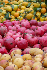 red apples and fruit