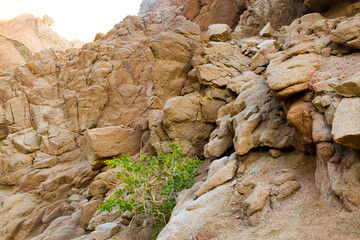 mountains and rock formations in the sinai desert 