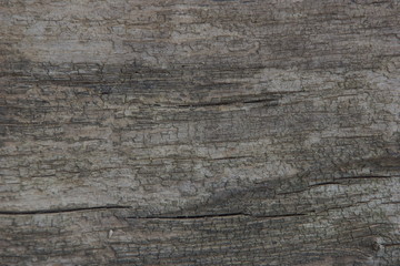 surface of old wood texture background