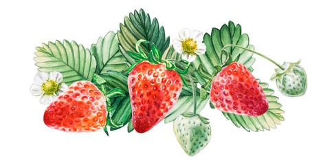 Watercolor red juicy strawberry with leaves. Food background, painted bright composition. Hand drawn food illustration. Fruit print. Summer sweet fruits and berries.