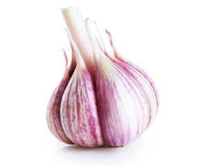 Garlic isolated on white background.