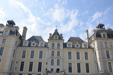 Fototapeta na wymiar Château de Cherverny - moulinsart tintin