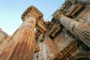 Naklejka premium Bottom-up view tu Ruins of Bacchus temple in Baalbek, Bekaa valley Lebanon