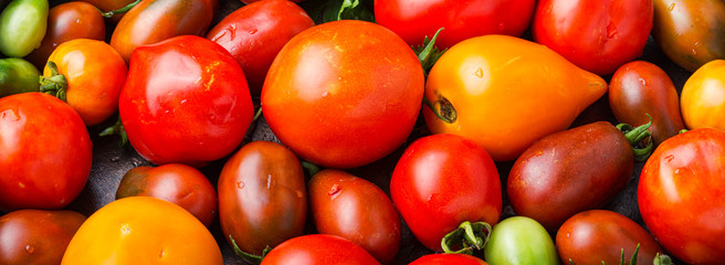 Summer harvest tomato