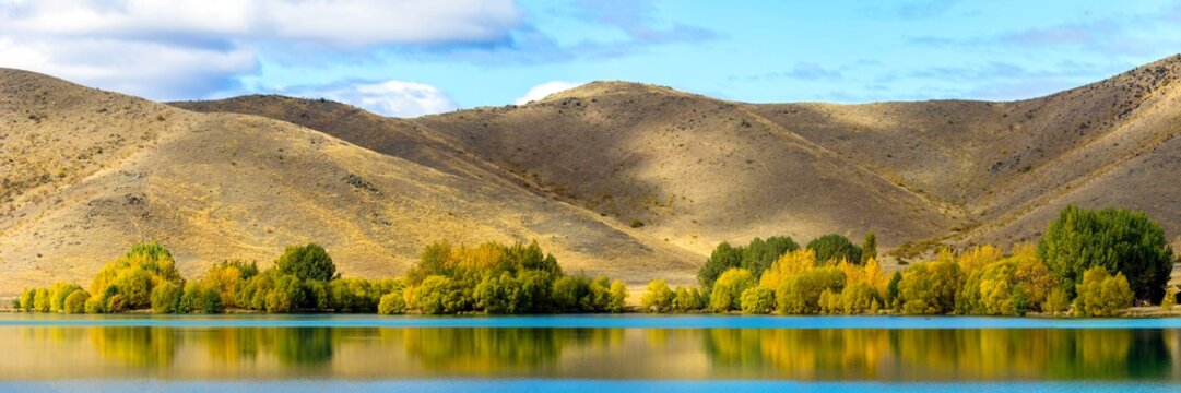 Panoramic Reflections of Yellow Autumn Trees in New Zealand