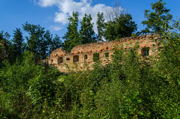 Fototapeta na wymiar ruiny zamky Herburtów Ukraina 