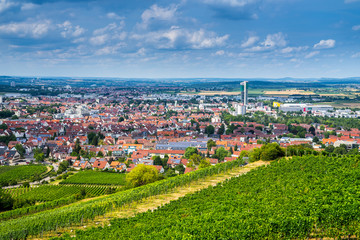 Germany, Houses of city fellbach near stuttgart from above green vineyards in summer season