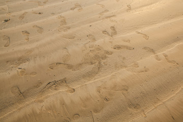 close up of footprints on the beach with golden sand