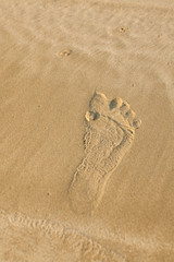 Fototapeta na wymiar close up of footprints on the beach with golden sand