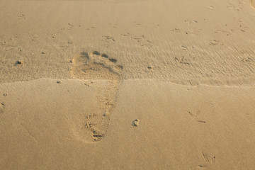 close up of footprints on the beach with golden sand
