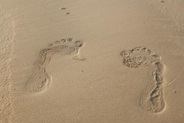 close up of footprints on the beach with golden sand